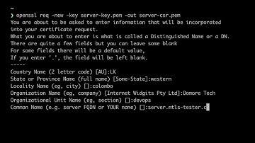 Exploring  Mutual TLS (mTLS) : Generate Server Certificates