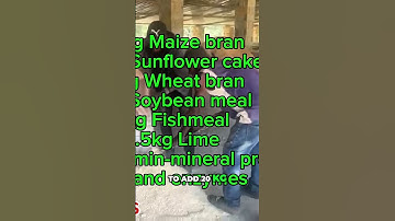 DIY Pig Feed: Our Cost-Effective Grower Mix Recipe!