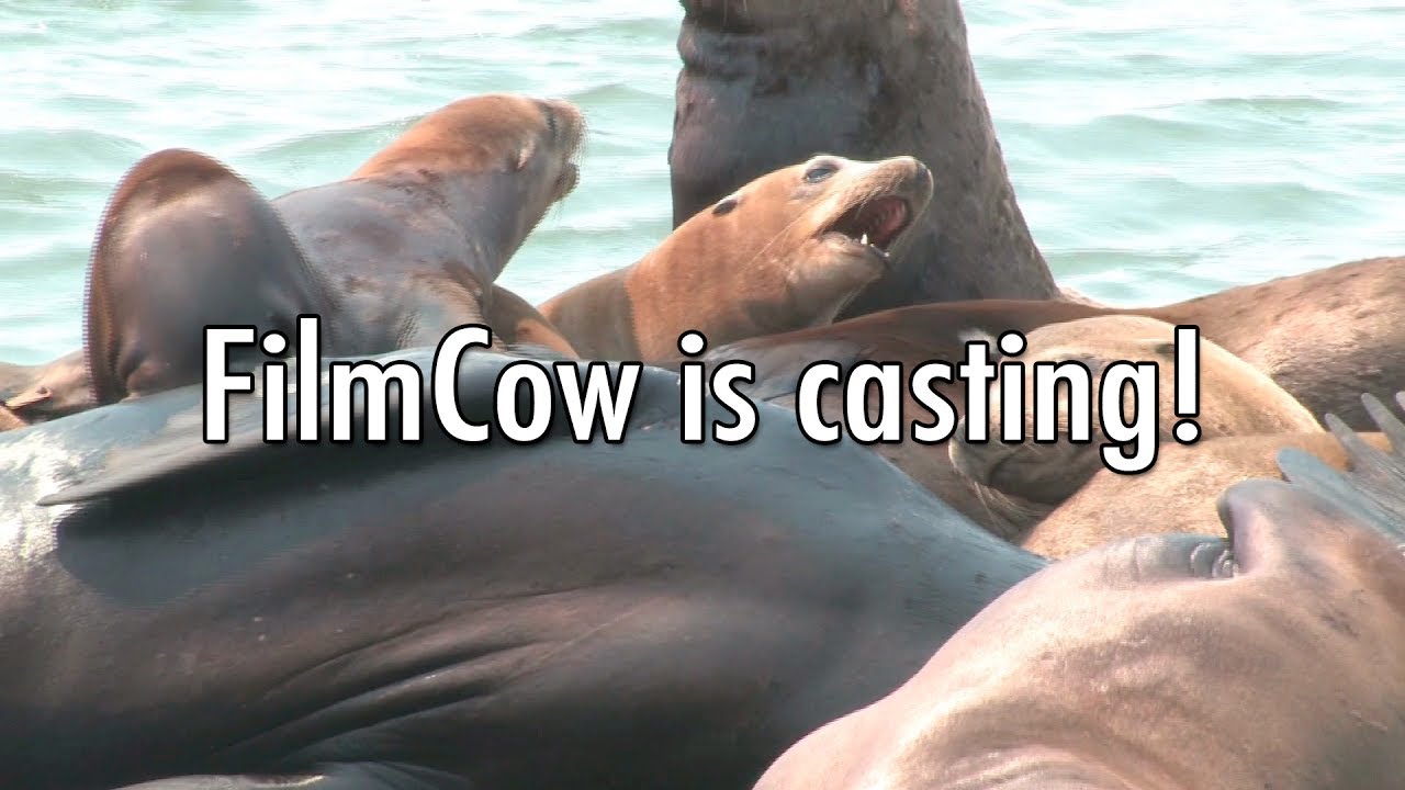 FilmCow Casting Call: Female Roles - Send your demo reel or character voice recording to: