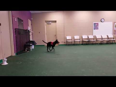 YouTube video