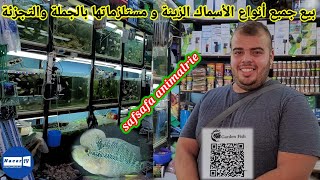 بيع جميع أنواع الأسماك الزينة بالجملة والتجزئة/أكبر محلات لبيع كل مايخص الحيوانات في الجزائر/صفصافا