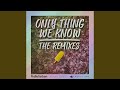 Only Thing We Know (ALIGEE Remix)