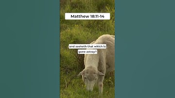 The Lost Sheep | A good shepherd will seek the one gone astray | #shorts #bible #daily #bibleverse
