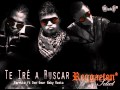 Te Iré a Buscar   Farruko ft Don Omar Baby Rasta