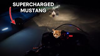 R6 vs 8xxhp Mustang, and 392 Scat Pack
Hey guys hope you guys enjoyed the video LIKE AND SUBSCRIBE!!!
Instagram - justaslowguy
Tiktok - justaslowguy R6 vs 8xxhp Mustang, and 392 Scat Pack
