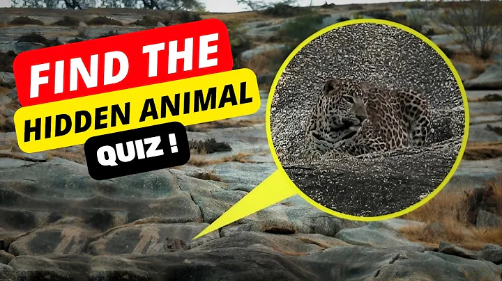 Can you find all the hidden animals? - QUIZ