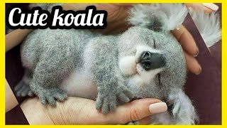 KOALA WRAPPED ON A TREE - KOALA COMPILATION - CUTE and FUNNY KOALA by Fifty Shades of Cats 20,058 views 3 years ago 3 minutes, 30 seconds