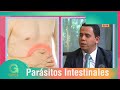 Eliminar los parásitos intestinales | Salud