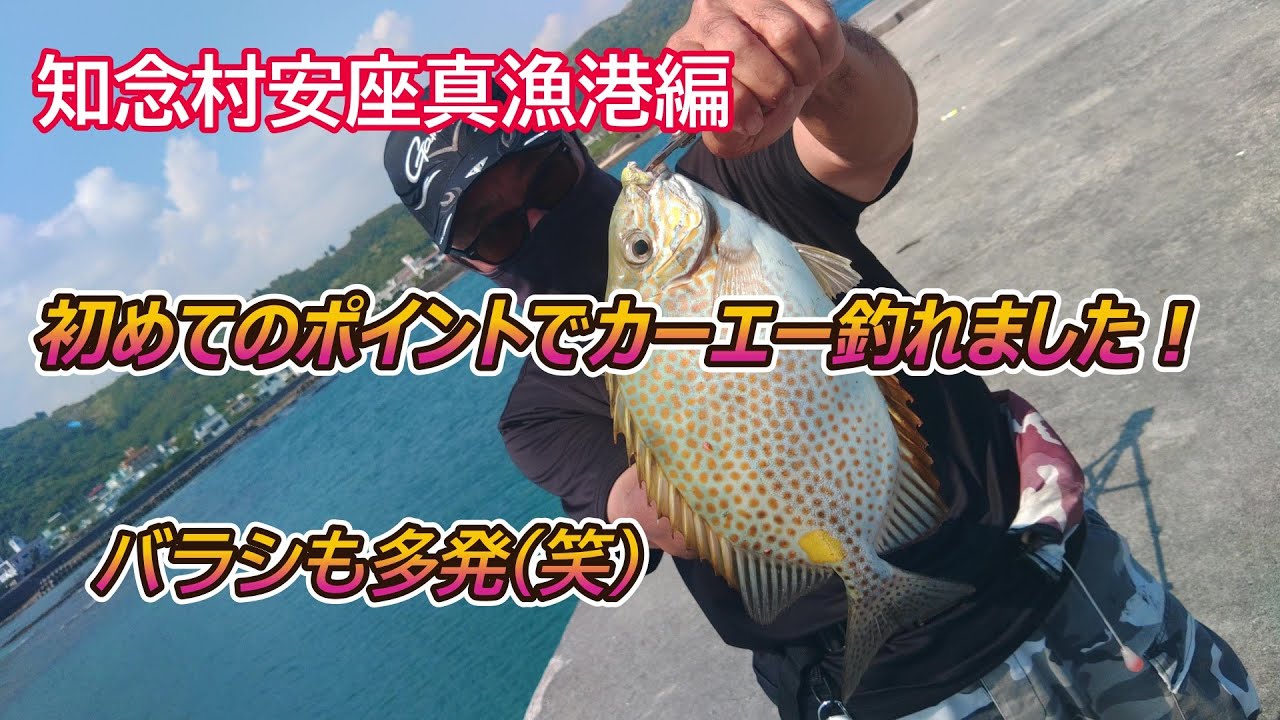 初めてのポイントでカーエー釣れました！知念村安座真漁港編【沖縄釣り】
