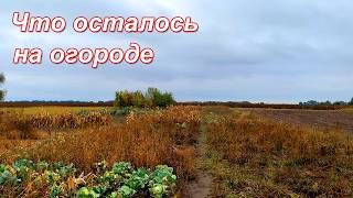картинка: Живу на краю села. Готова ли я к зиме? Что успела сделать.