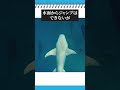 ベルーガがかわいい理由 #shorts #雑学 #シロイルカ