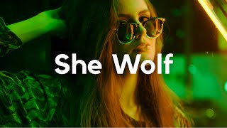 Shakira - She Wolf (Sped up) Resimi