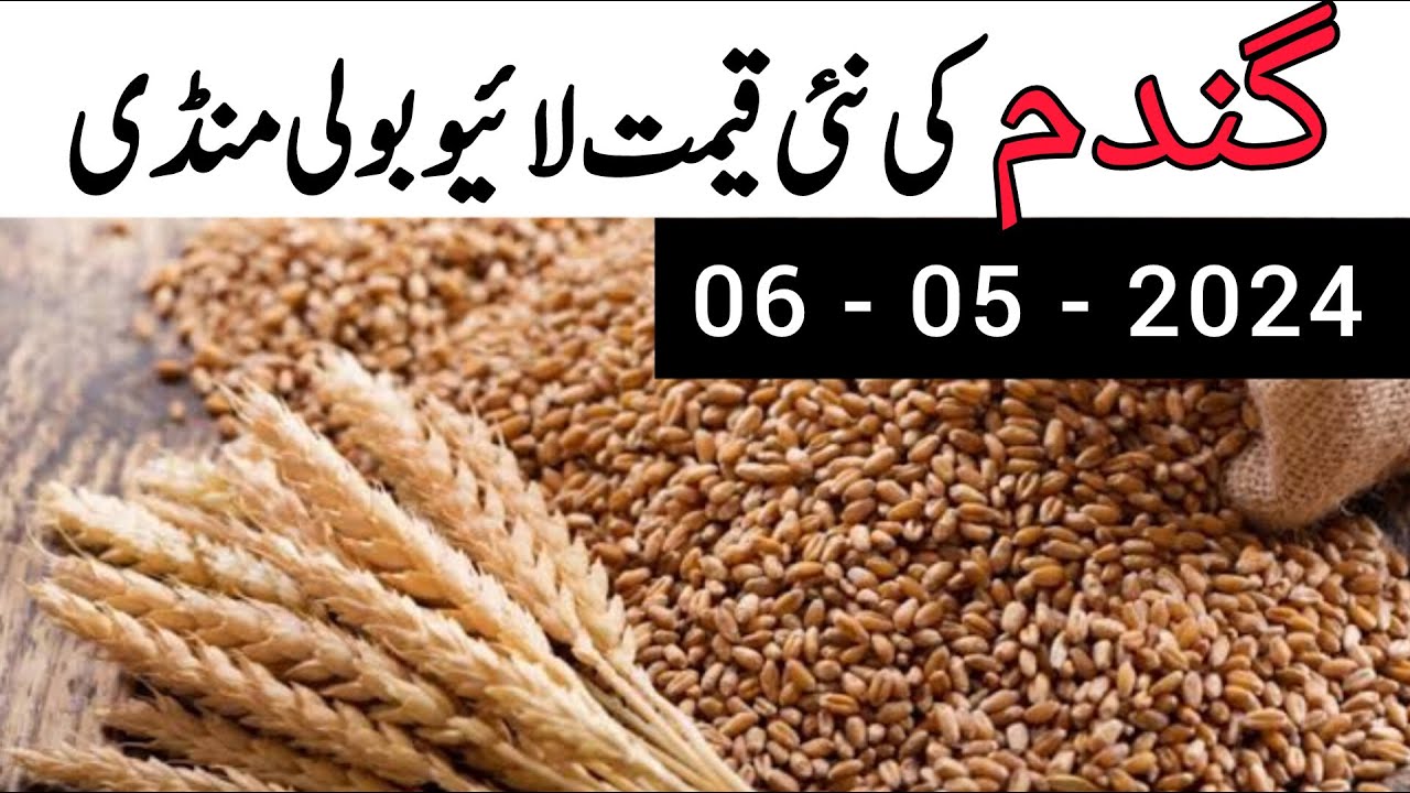 Wheat new price today 2024 | Gandam rate today 2024 | wheat price today ...