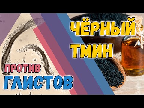 Поможет ли чёрный тмин от паразитов? Официальные исследования