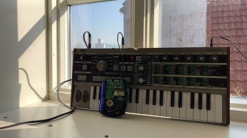 Left hand of darkness | Microkorg and tape loop self generative ambient