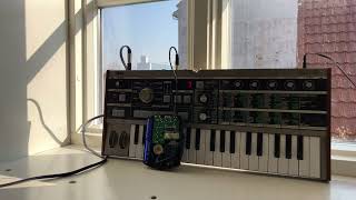 Left hand of darkness | Microkorg and tape loop self generative ambient