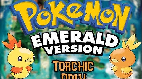 Can I Beat Pokemon Emerald With Only Torchic?