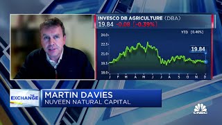 How to invest in American farmland, with Nuveen Natural Capital's Martin Davies