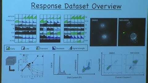 Harnessing Cross Talk Between Signaling Pathways to Improve Cancer Tr