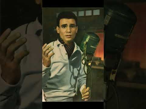 العندليب الأسمر الفنان الراحل عبد الحليم حافظ