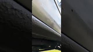 Undercoating @theberkebileoilcompanyinc.7859 another Chevy done. #undercoating #chevy#dodge#ford