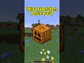 [マイクラ]みんなが思うマイクラの最弱装備も教えて！