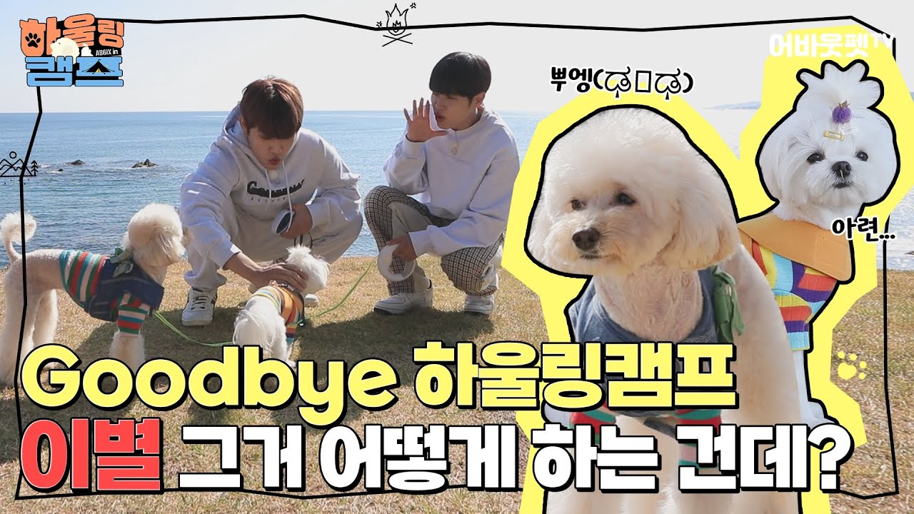 [Sub] EP.6 못잃어 박우진X이대휘...가기 전에 사진은 찍고가📷ㅣAB6IX 하울링캠프 마지막회
