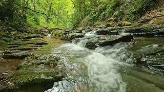 : 3 Hours Positive Energy Flow | Uplifting Music for Stress Relief & Calm | Nature Sounds for Healing
