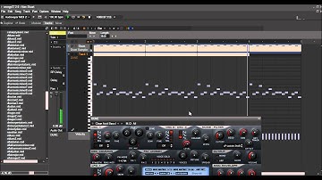 250 Electro Techno House EDM Bass MIDI loops - DEMO