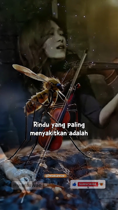 😭 Bikin Merinding! “She’s Gone” Versi Violin Jo A Ram — Permainan Biola Paling Emosional 🔥🎻