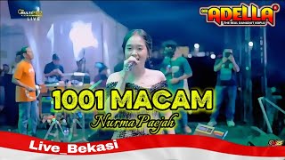 1001 MACAM : NURMA KDI : OM ADELLA LIVE BEKAS 08-08-26