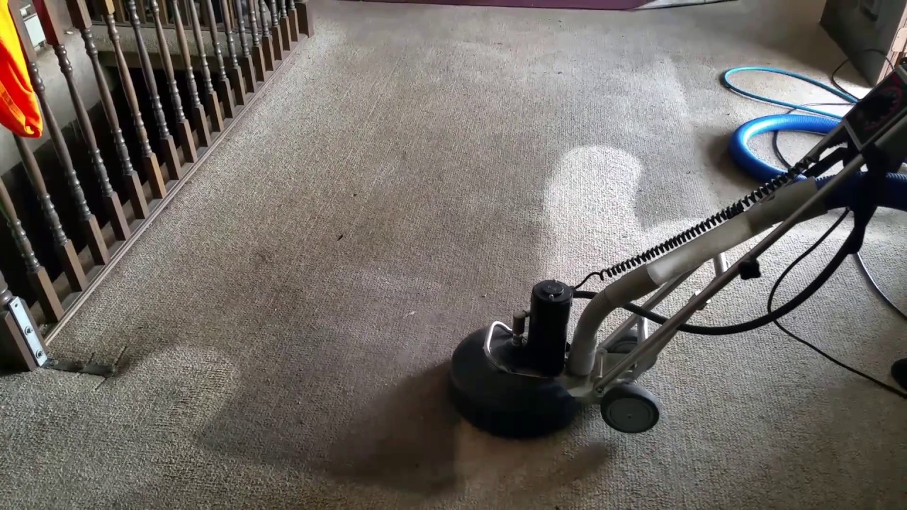 Carpet cleaning white rotovac 360 YouTube