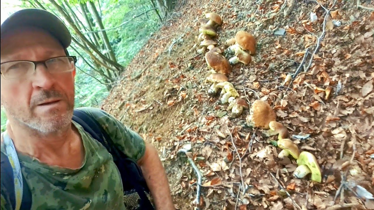 52 porcini in una fungaia...13 minuti di raccolta continua!!!😱
