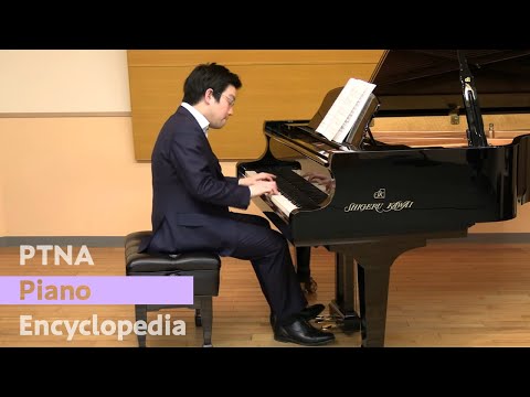 Imada Atsushi / Anonymous - Variations on a Thema of ''The Magic Flute''