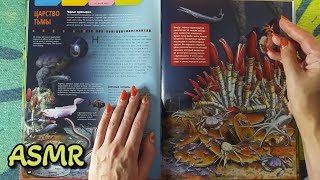 картинка: АСМР книга о животных, трейсинг • ASMR шепот, чтение для сна