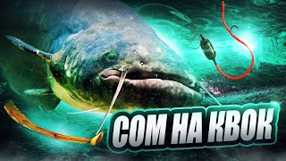 :      ,      .fishing,bushcraft,