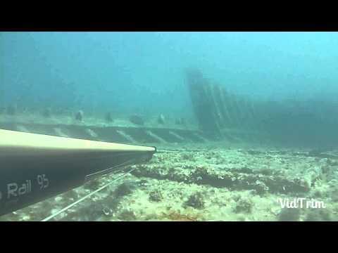 Spearfishing in Cyprus-