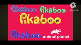 Pikaboo Hd Logo 2020