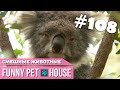 СМЕШНЫЕ ЖИВОТНЫЕ И ПИТОМЦЫ #108 СЕНТЯБРЬ 2019 | Funny Pet House