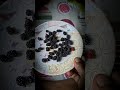 पहाड़ी फल किम का स्वाद बड़ा मजेदार#annavlog#kim#pahadifruit#shots#kandmoolfal#
