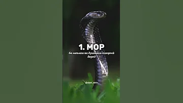хобхои батарин дар ислом 