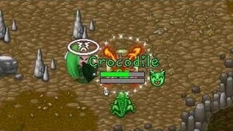 Tibiame Take Pet Crocodile |Tibiame w36