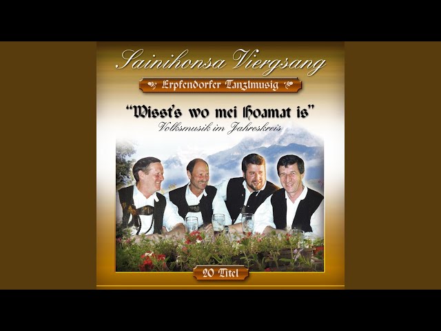 SAINIHONSA VIERGSANG - Zwoa junge Ochs'n
