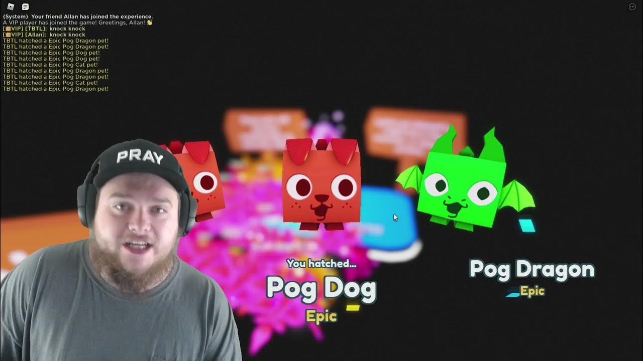 How to get POG CAT in Pet Simulator X.. (Roblox) YouTube