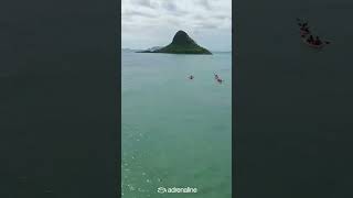 Kayaking in Hawaii - Count Me In! 🌺 #shorts #adventuretime Kayaking in Hawaii - Count Me In! 🌺 #shorts #adventuretime