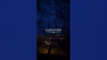 القارئ ياسر الدوسري
