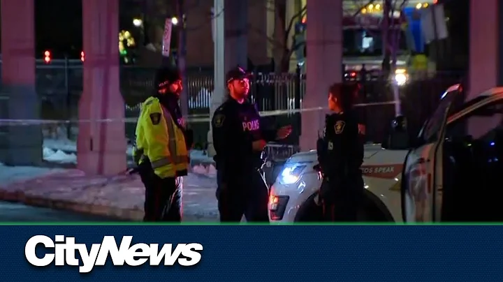 Semi-automatic handgun used in Vaughan condo mass ...