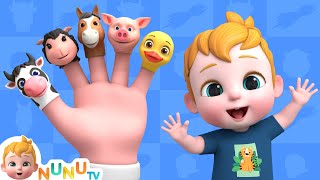 Finger Family Farm Animal Song | Nursery Rhymes | Farm Animal Songs | NuNu Tv