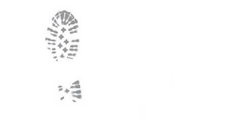 Lambda Upsilon Lambda IOTA Chapter Step & Stroll Show 2014