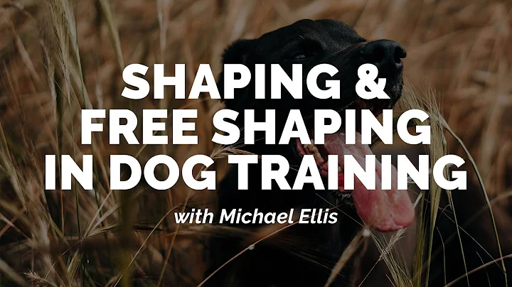 Michael Ellis on Shaping and Free Shaping in Dog T...